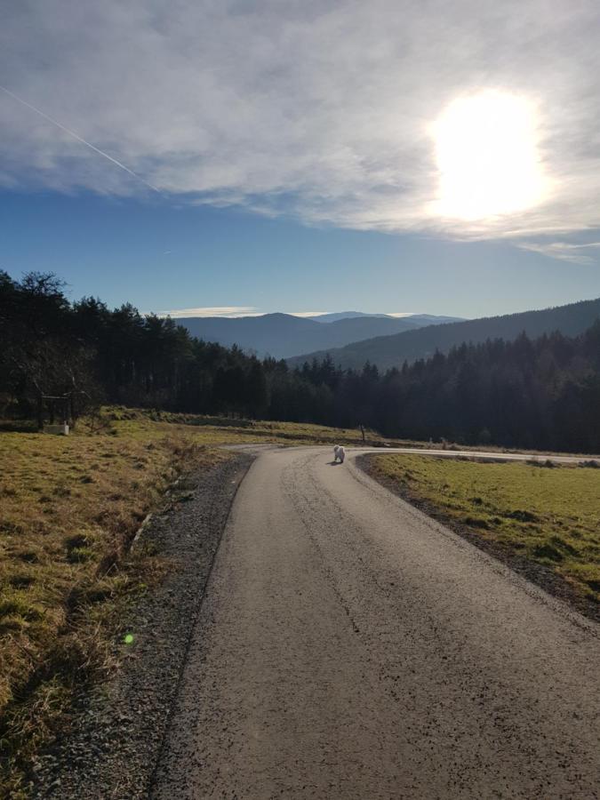 Casa vacanze Na Folwarku